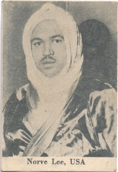 Norve a
